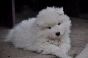 82202548_2953180891361724_5353202552894652416_o