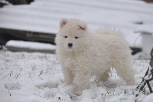 83318762_2984923011520845_4171358888840396800_o