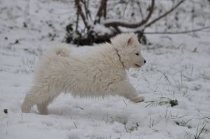 83510655_2984922851520861_299949434937016320_o