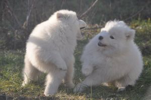 83737264_2984932914853188_4571488131013935104_o