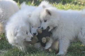 83758548_2984926628187150_5212541407583010816_o