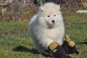 83765758_2984932008186612_5862212913988632576_o