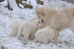 84338504_2984922371520909_7172922128252010496_o