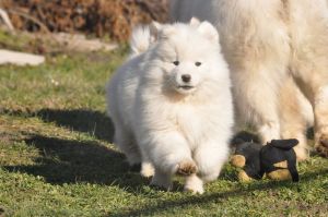 84475907_2984931331520013_6390090392104075264_o