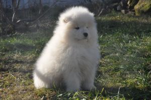 84541647_2984931628186650_7028866163480199168_o