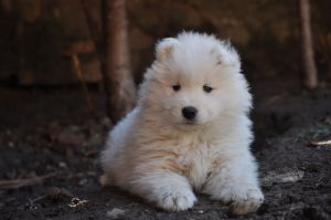 102709868_3284901458189664_4779733169547993686_o