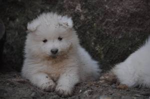 103313962_2540962136165409_636407321424911606_n