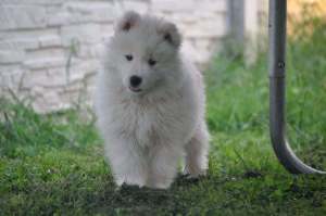 105345989_2968532709903427_7341282824508201612_n