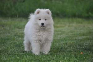 105405518_261165364977965_2470164668128135102_n