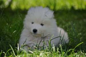 75369103_696747147786903_6982571241110486231_n