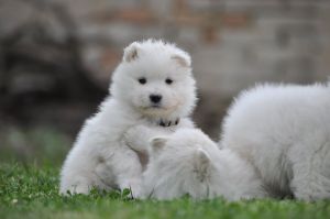 91969267_3266707913342352_9008210350172012544_o