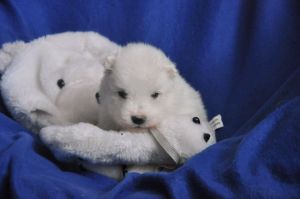 97119507_656803911835018_8452010028050677760_n