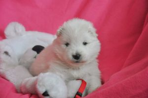 97125083_254076735950133_5718277010732613632_n