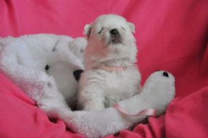 97199626_609521606321402_6736541390710243328_n