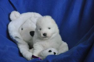 97403656_4265381793475628_8945913490221039616_n