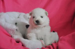 97409136_922408901505960_2254035116529549312_n