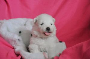 97628727_2623158927944202_4358776976576610304_n