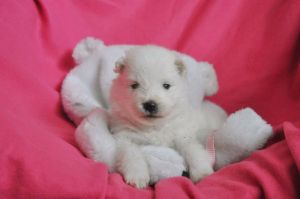 97966434_267169851094705_3827706185981624320_n