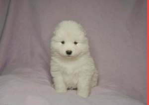 274916540_691262032053185_5453383852392569591_n