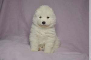 275044541_708713060131457_5902746940087609083_n