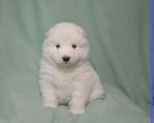 275080641_1108496349970989_3137292003982912646_n