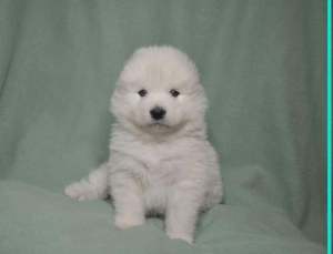 275104378_697705588057817_6403482816197462175_n