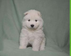 275165963_2028171030677999_4361551244053894379_n