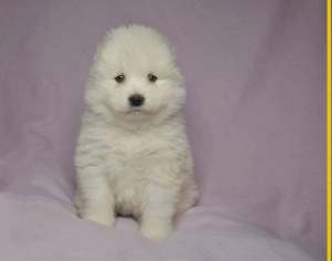 275226014_847949772642906_6728929092540607734_n