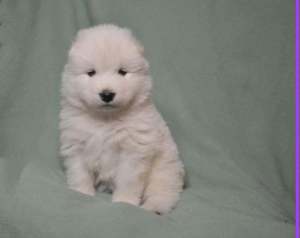 275234108_483736129961020_2026988430769012120_n