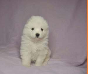 275238835_1274343626395611_6782960085058879996_n