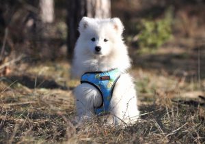 IMG_20240120_171757-scaled