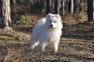 IMG_20240120_174709-scaled