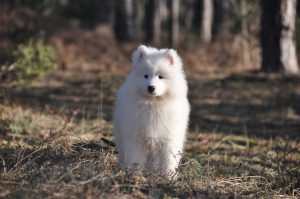 IMG_20240120_174738-scaled