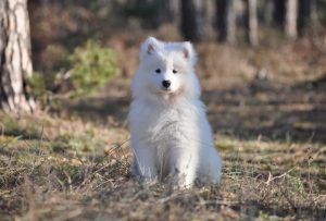 IMG_20240120_225637-scaled