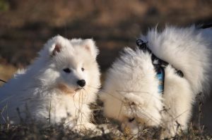 IMG_20240120_225719-scaled