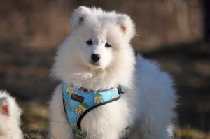 IMG_20240120_225930-scaled