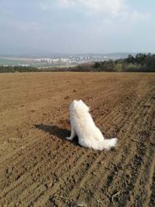 91172361_240264350503017_886883387682324480_n