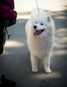 1_FB_IMG_1663139023776-e1663589066706