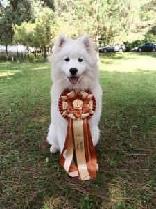 1_IMG_20220901_153026-scaled