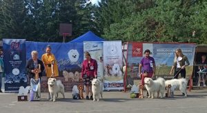 IMG_20220901_171750-e1663588753870