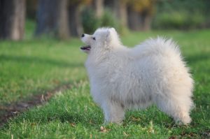 IMG_20250921_193343-scaled