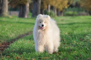 IMG_20250921_193533-scaled