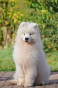 IMG_20251026_165117-scaled