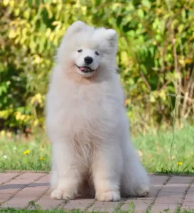 IMG_20251026_165327_084