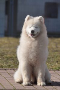 IMG_20260301_193617-scaled