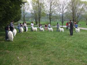 received_1765929657243660