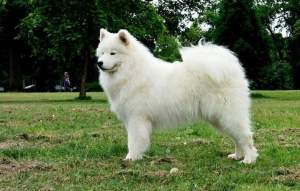 13925479_10207214081690636_3038134113892126684_o