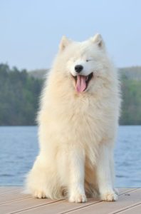 DSC_0487-scaled-e1581707502399