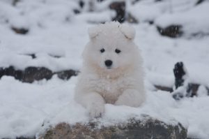 IMG_20231223_152520-scaled