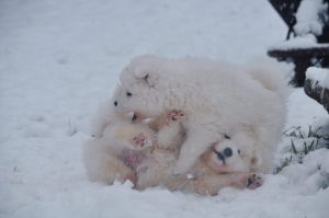 IMG_20231223_164746-scaled